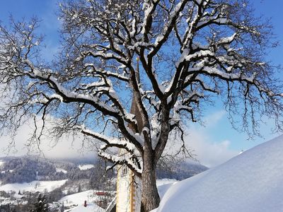 Winter in der Region Millstätter See