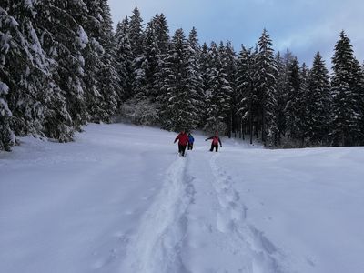 Winterlandschaftserlebnis