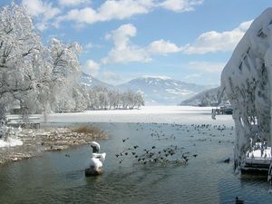 Winter am See