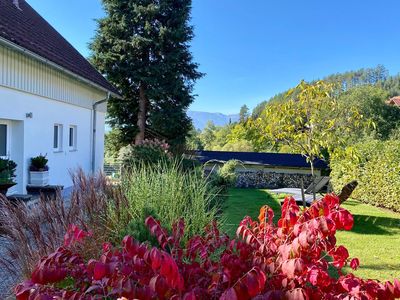 Ferienhaus Eulenhorst Garten