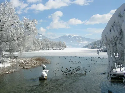 Winter am See