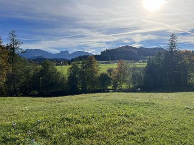 Aussicht Terrasse 2