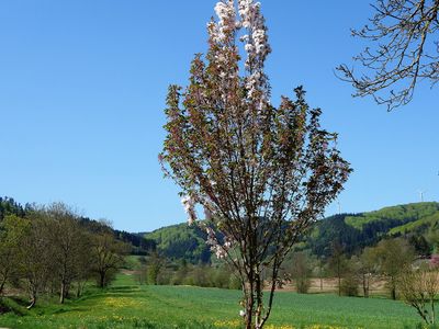 Ferienhaus für 5 Personen (65 m²) in Seelbach (Baden-Württemberg) 8/10