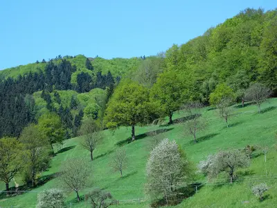 Ferienhaus für 5 Personen (65 m²) in Seelbach 4/10