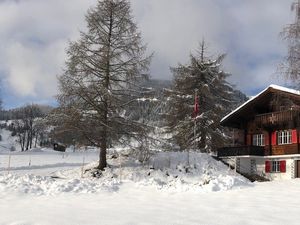 Haus mit Umgebung im Winter