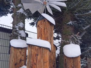 Ferienhaus für 3 Personen (55 m²) in Sehmatal