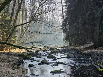 Herrliche Umgebung an der Eger