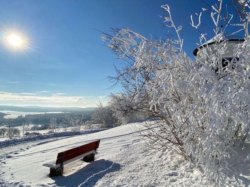 23321672-Ferienhaus-8-Selbitz (Bayern)-800x600-0