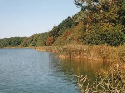 Ferienhaus für 6 Personen (70 m²) in Selk 8/9