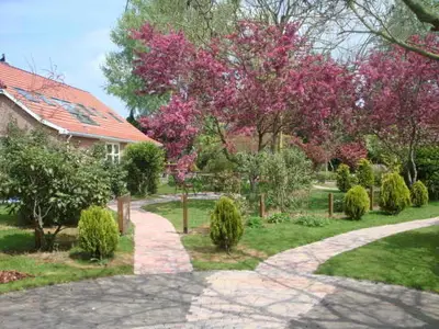 Ferienhaus für 17 Personen (350 m²) in Sellingen 5/10