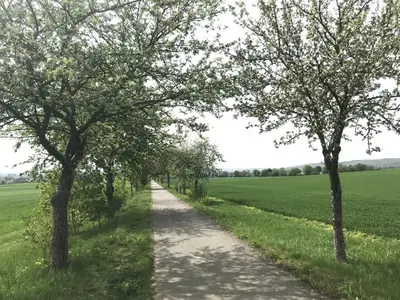 Ferienhaus für 3 Personen (50 m²) in Selzen 8/10