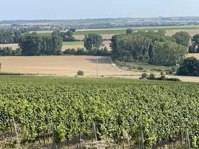 Ferienhaus für 3 Personen (50 m²) in Selzen 10/10