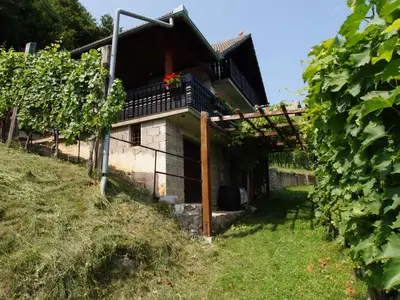 Ferienhaus für 6 Personen (90 m²) in Semič 5/10