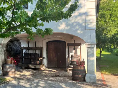 Ferienhaus für 4 Personen (53 m²) in Semič 5/10