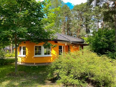 Ferienhaus für 3 Personen (58 m²) in Senftenberg 8/10