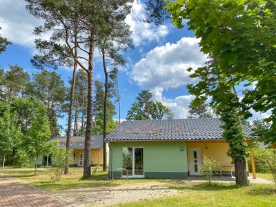 Ferienhaus für 3 Personen (53 m²) in Senftenberg 8/10