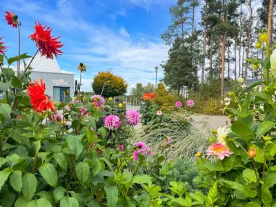 Ferienhaus für 4 Personen in Senftenberg 3/10