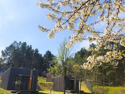 Ferienhaus für 4 Personen in Senftenberg 7/10