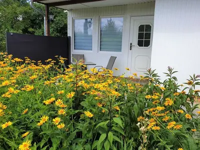 Ferienhaus für 3 Personen (40 m²) in Senftenberg 2/10