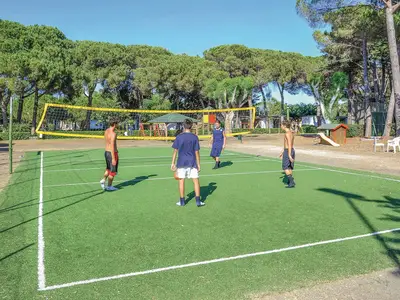 activities
