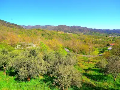 ViewSummer
