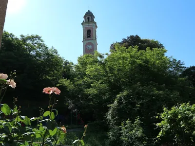 ViewSummer