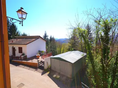 ViewSummer