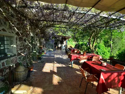TerraceBalcony