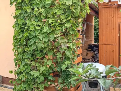 outside