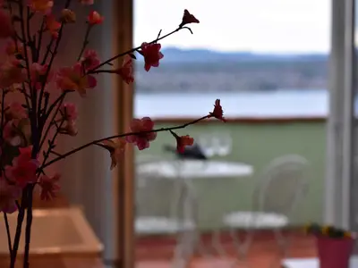 Ferienhaus für 4 Personen (60 m²) in Šibenik 4/10