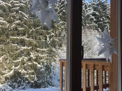 Blick vom Wohnzimmer auf Winterwald