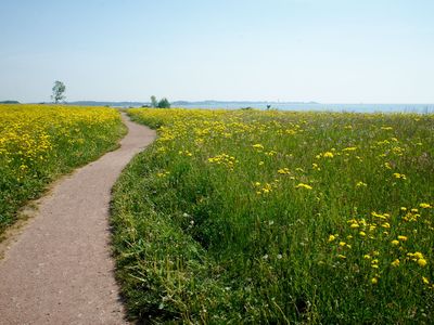 Landschaft