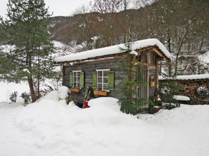 23851809-Ferienhaus-38-Silbertal-300x225-4