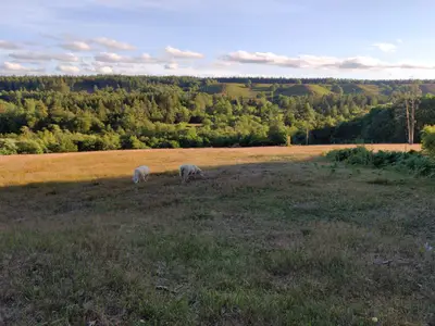 Outdoor
