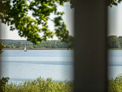 Landschaft