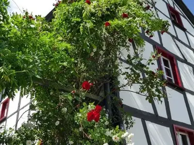 Ferienhaus für 8 Personen (170 m²) in Simmerath 10/10