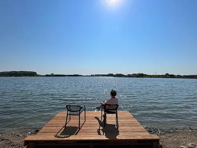 ViewSummer