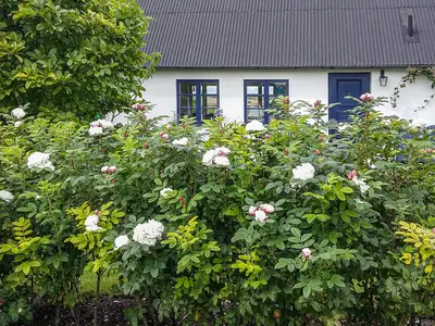 outside