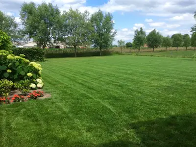 GardenSummer