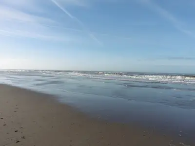 Ferienhaus für 4 Personen (72 m²) in Sint Maartensvlotbrug 10/10