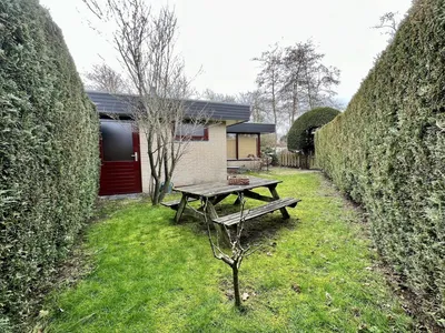 GardenSummer