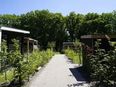 ExteriorSummer
