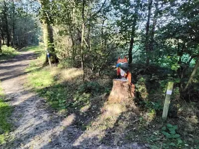 AreaSummer20KM