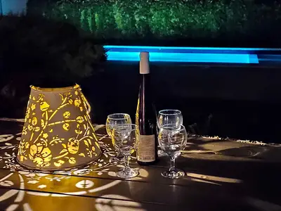 Ferienhaus für 12 Personen (240 m²) in Siófok 9/10