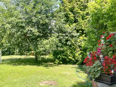 Ferienhaus für 5 Personen (78 m²) in Siófok 5/10