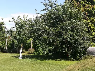 Ferienhaus für 5 Personen (78 m²) in Siófok 10/10