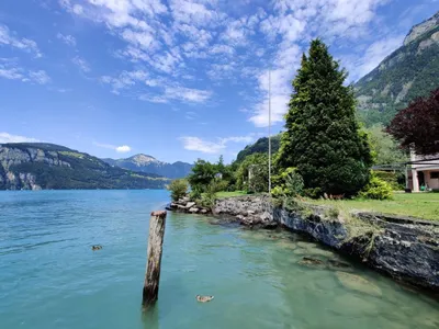 Bild 24