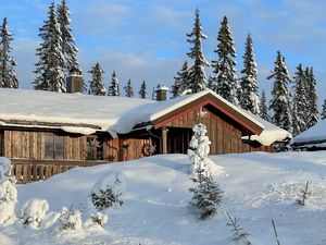 Ferienhaus für 6 Personen (81 m²) in Sjusjøen