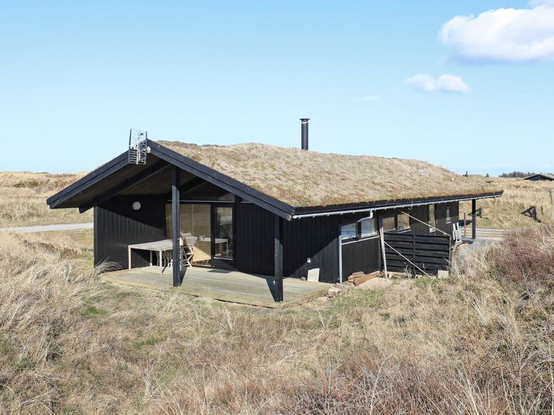 21711595-Ferienhaus-6-Skagen-800x600-0