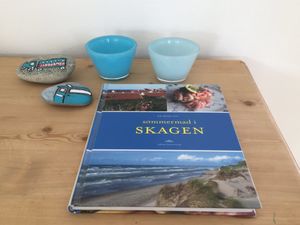 23865477-Ferienhaus-6-Skagen-300x225-5